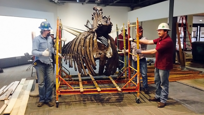 Mid-America Science Museum Mastodon Restoration